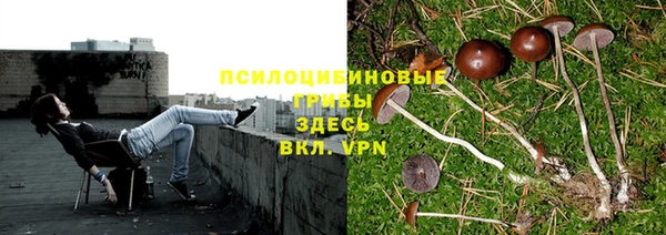 герыч Алексеевка
