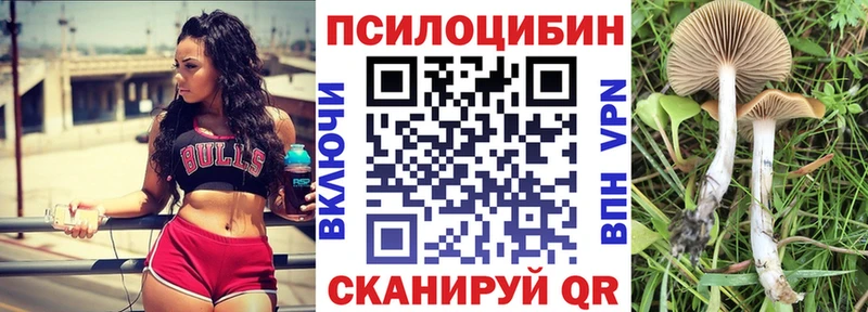 Галлюциногенные грибы Psilocybe  Волоколамск 